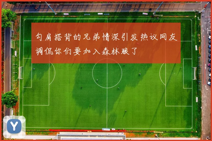 勾肩搭背的兄弟情深引发热议网友调侃你们要加入森林狼了