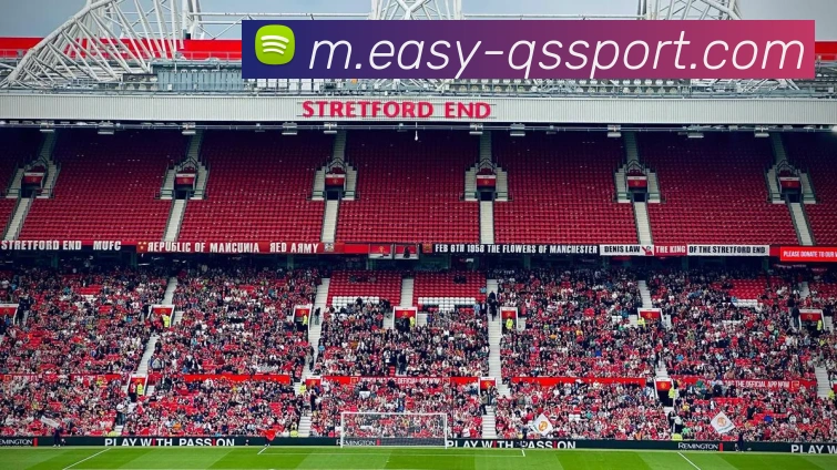 球速体育平台生态图