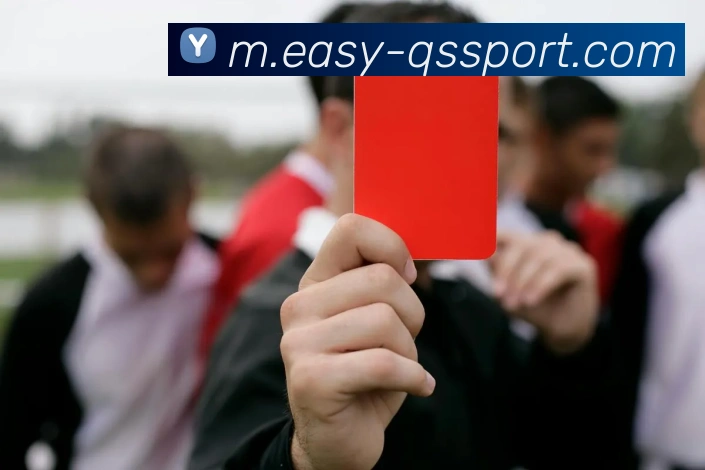 球速体育APP 封面图